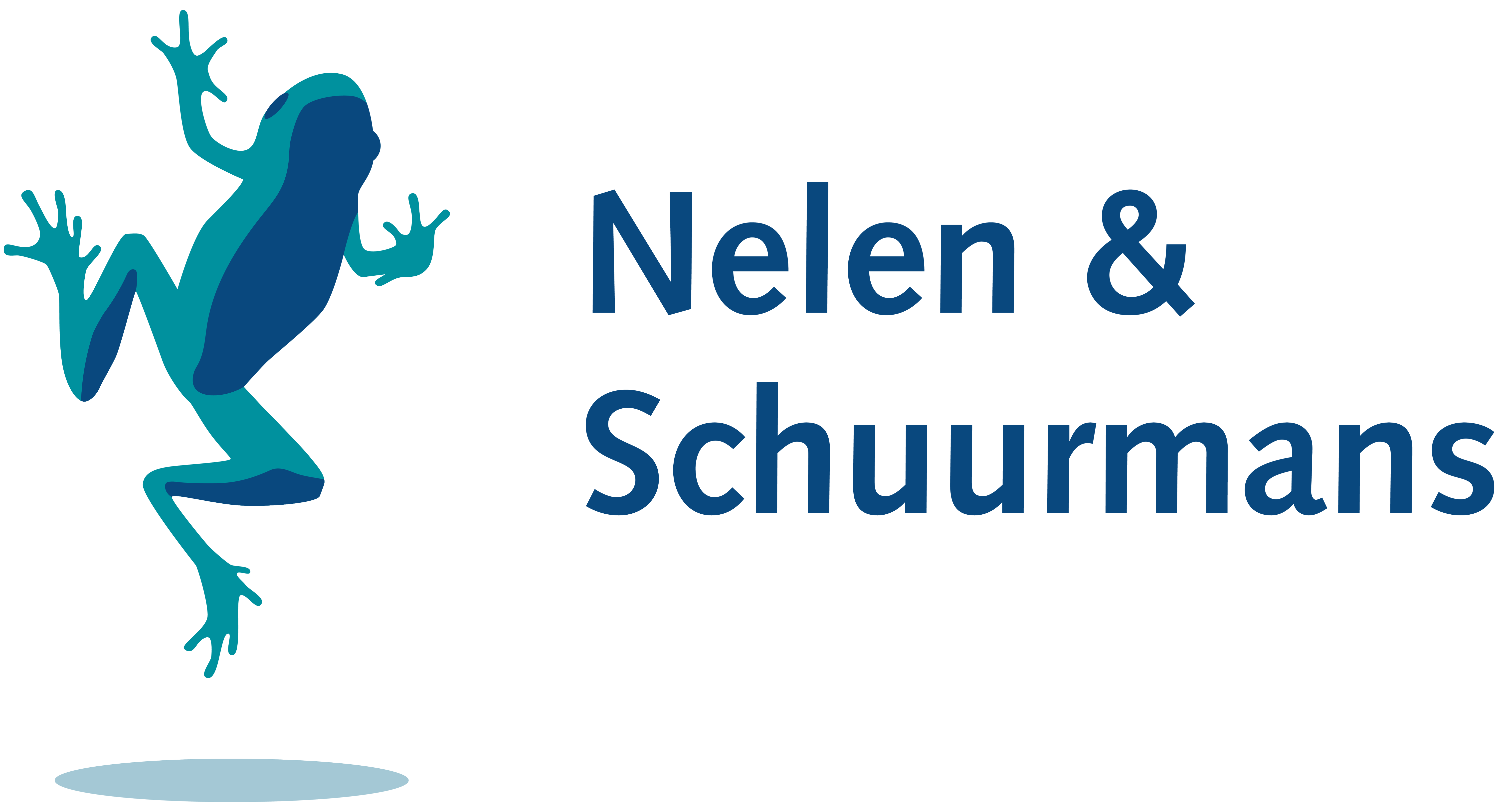 Logo_N&S.png
