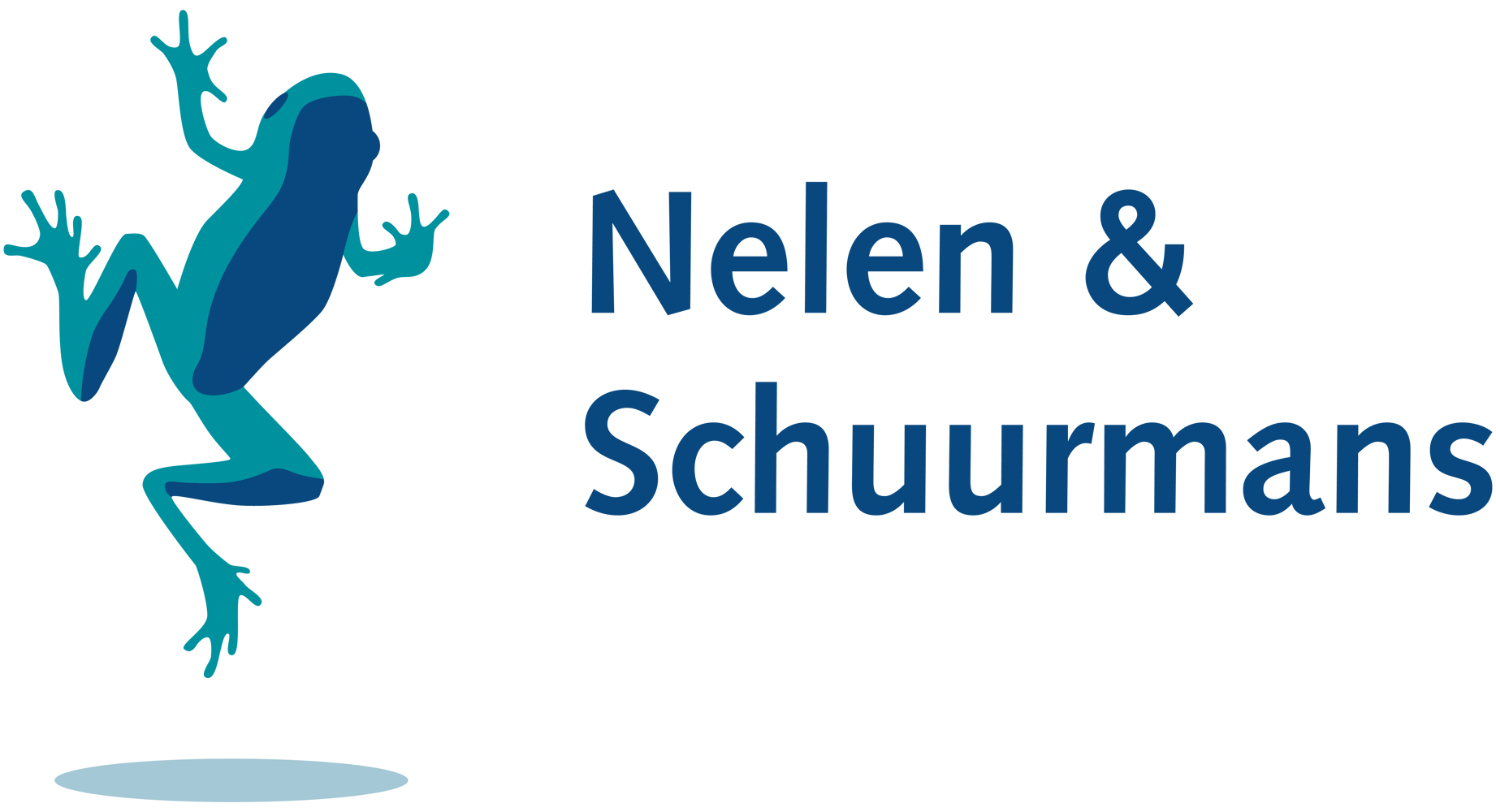 Nelen-Schuurmans_logo